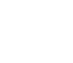 Anne DESBOIS